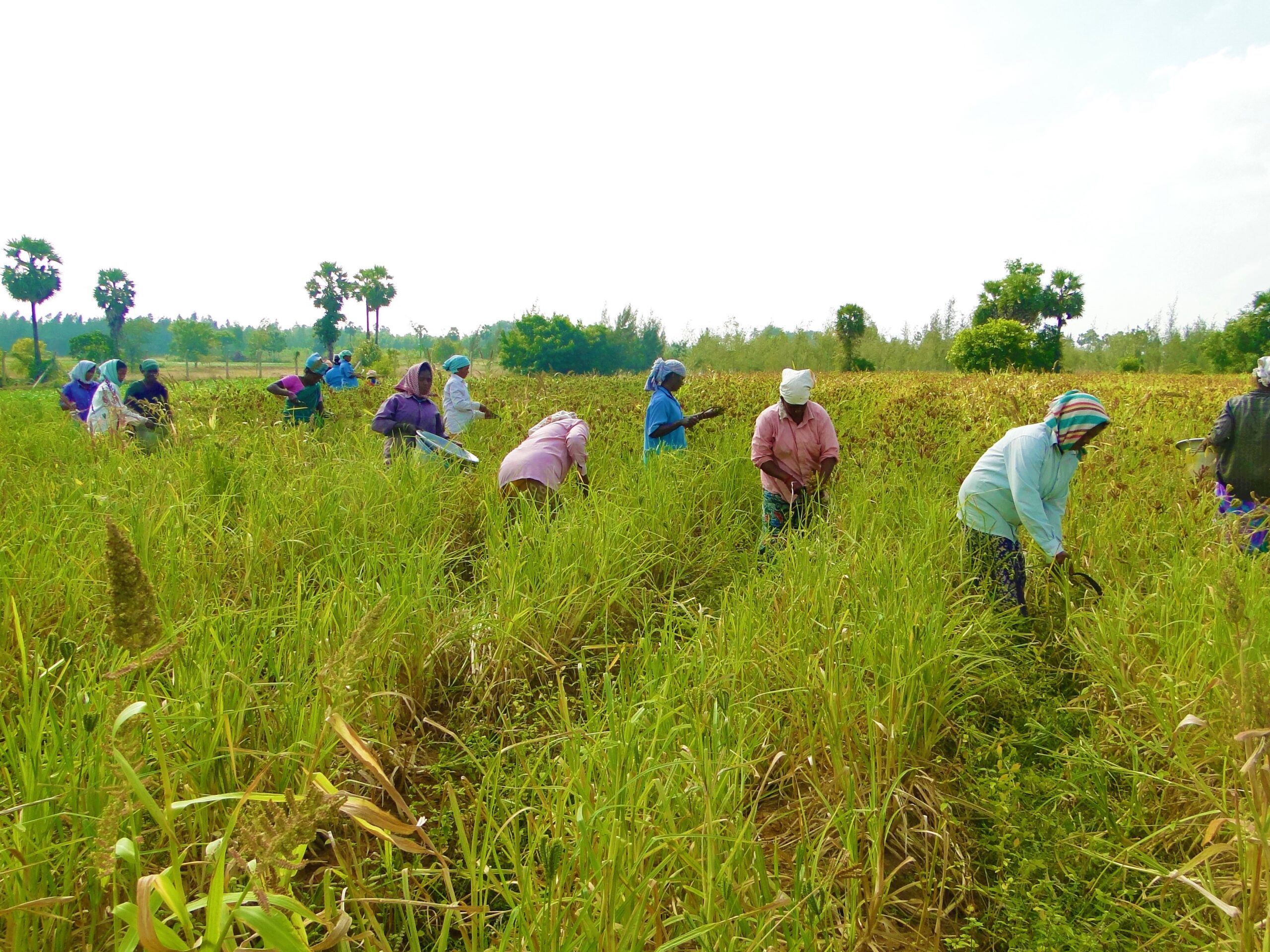 Empowering farmers by Integra