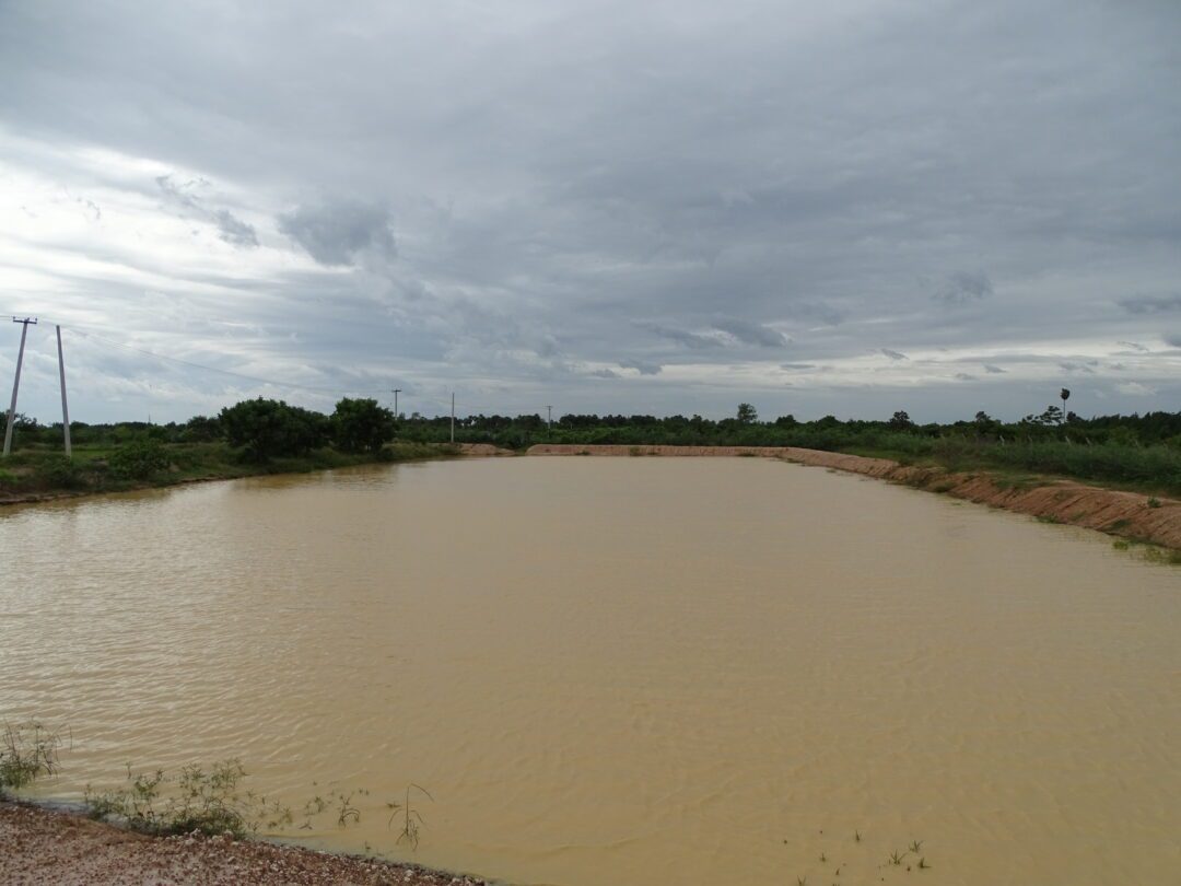 Rainwater harvest scaled by Integra