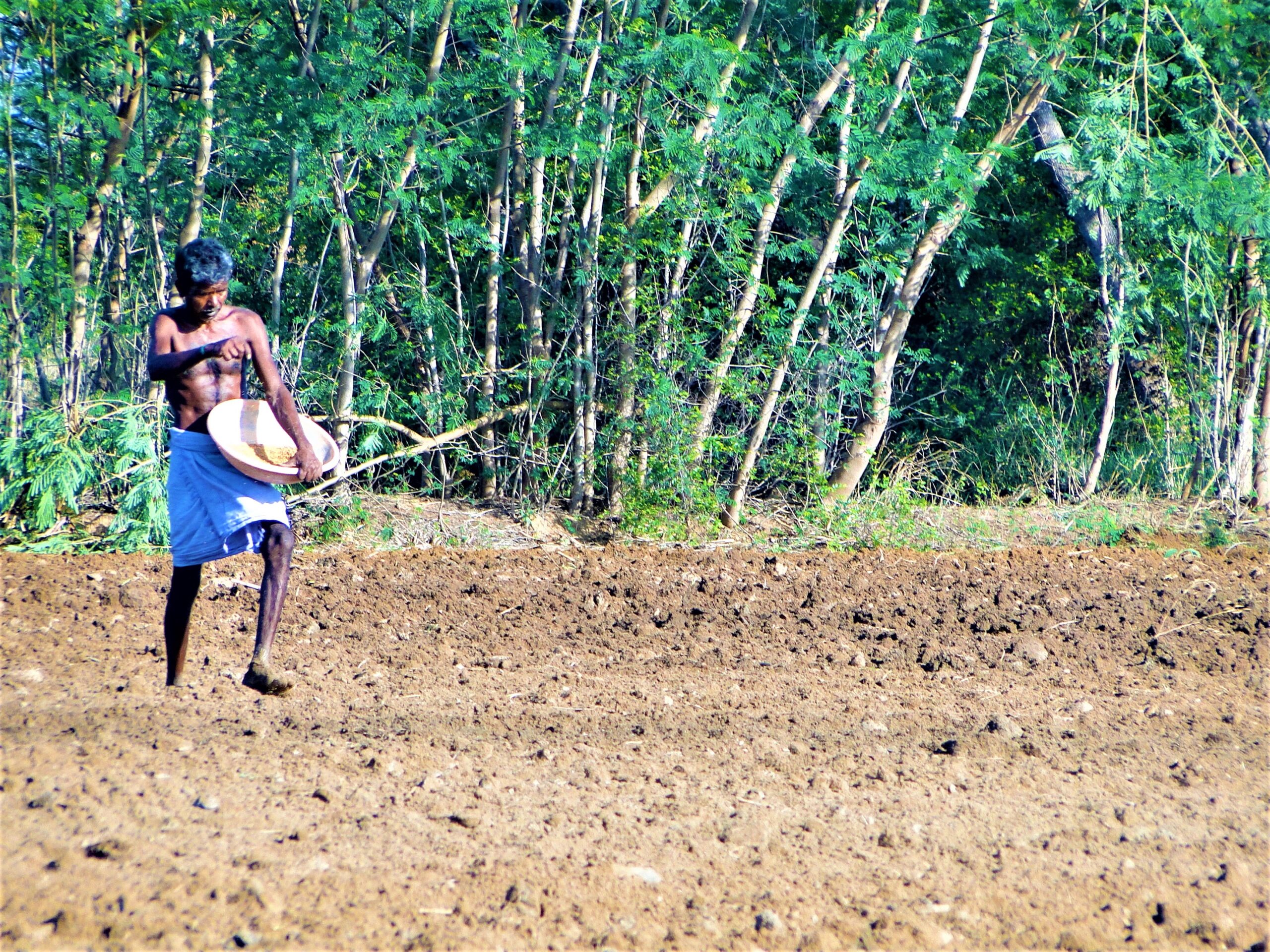 Restoring biodiversity by Integra