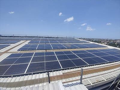 renewable-energy-and-carbon-neutrality